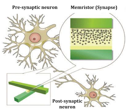Memristors - a favourable synapse
